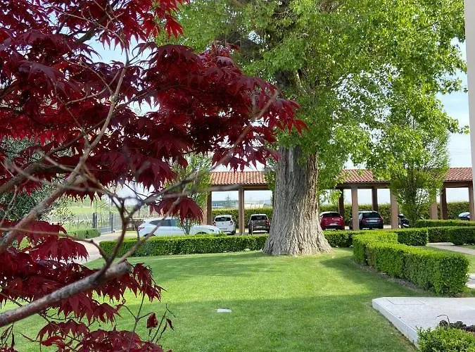 Park